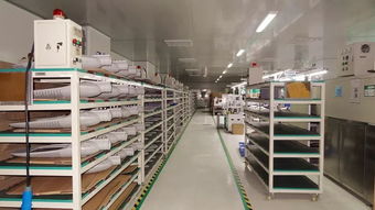 響應一帶一路倡議，燈具塑件企業積極拓展海外市場